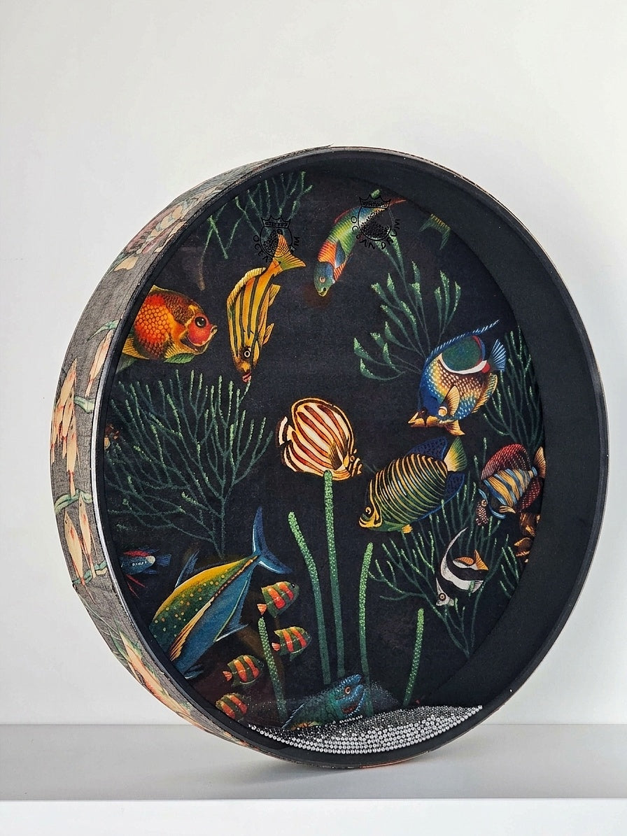 Remo Ocean Drum 16" – Grafica Pesci