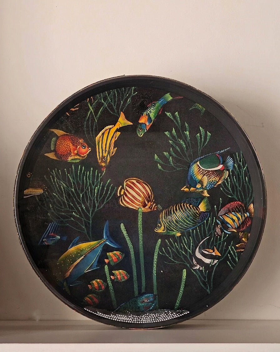 Remo Ocean Drum 16" – Grafica Pesci