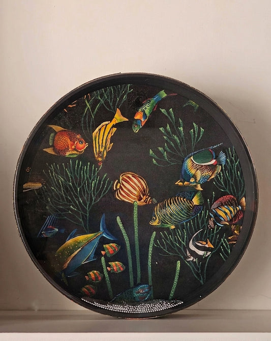Remo Ocean Drum 16" – Grafica Pesci